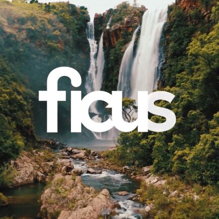 ficus-innovations